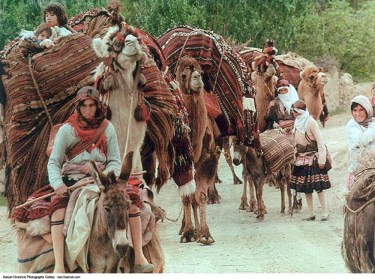 Fars_Bakhtiyari_Ashayer_Migration_Camel
