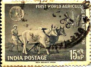 First World Agriculture Fair New Delhi Farmer ploughing with bullocks 15 np 1959