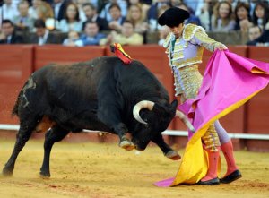 the-bullfighting